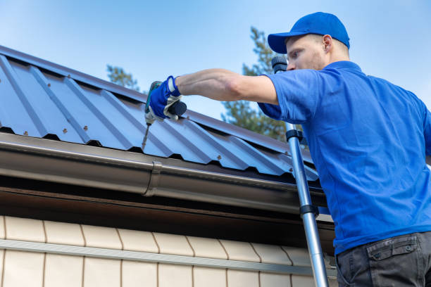 Best Sheet Metal Roofing  in Eagleton Village, TN