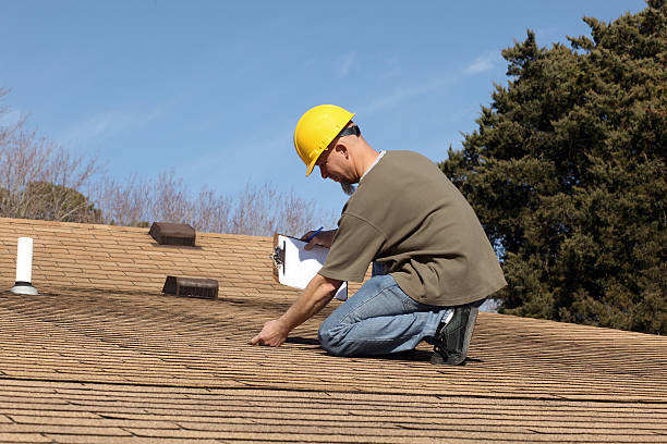 Best Roof Moss and Algae Removal  in Eagleton Village, TN